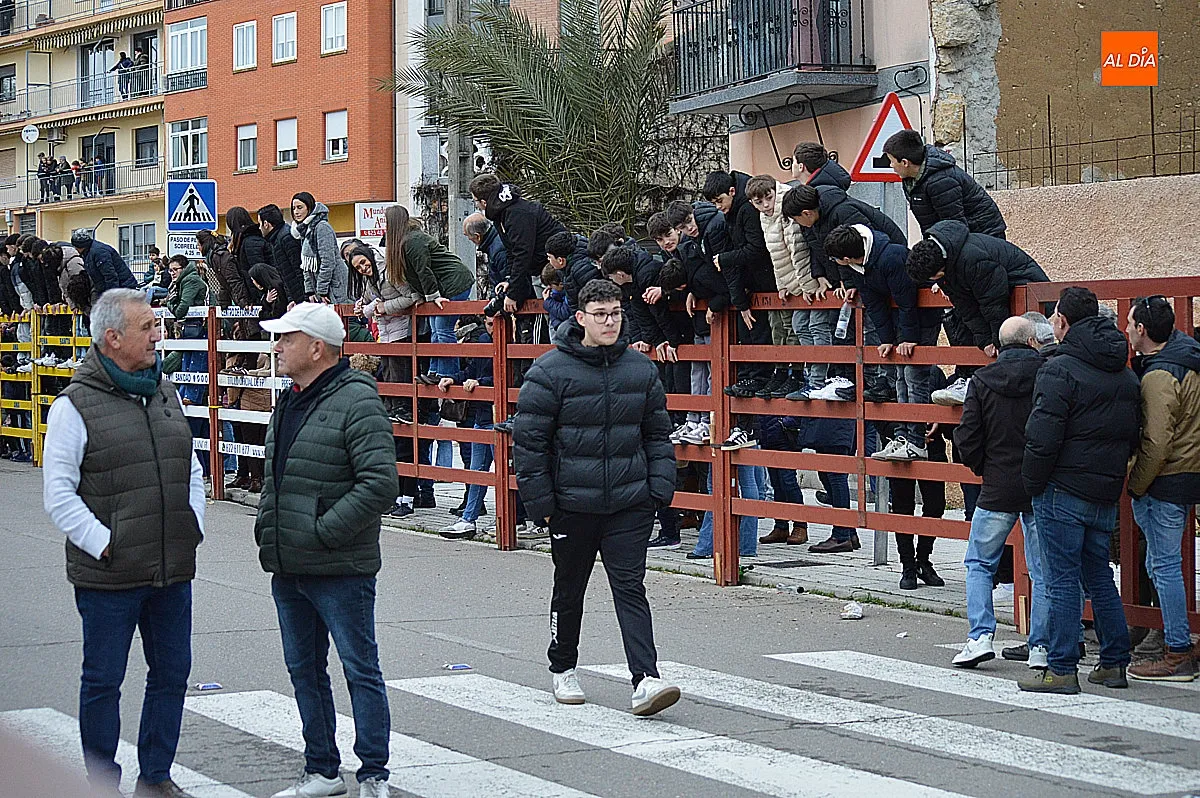 Toro de San Sebastián 