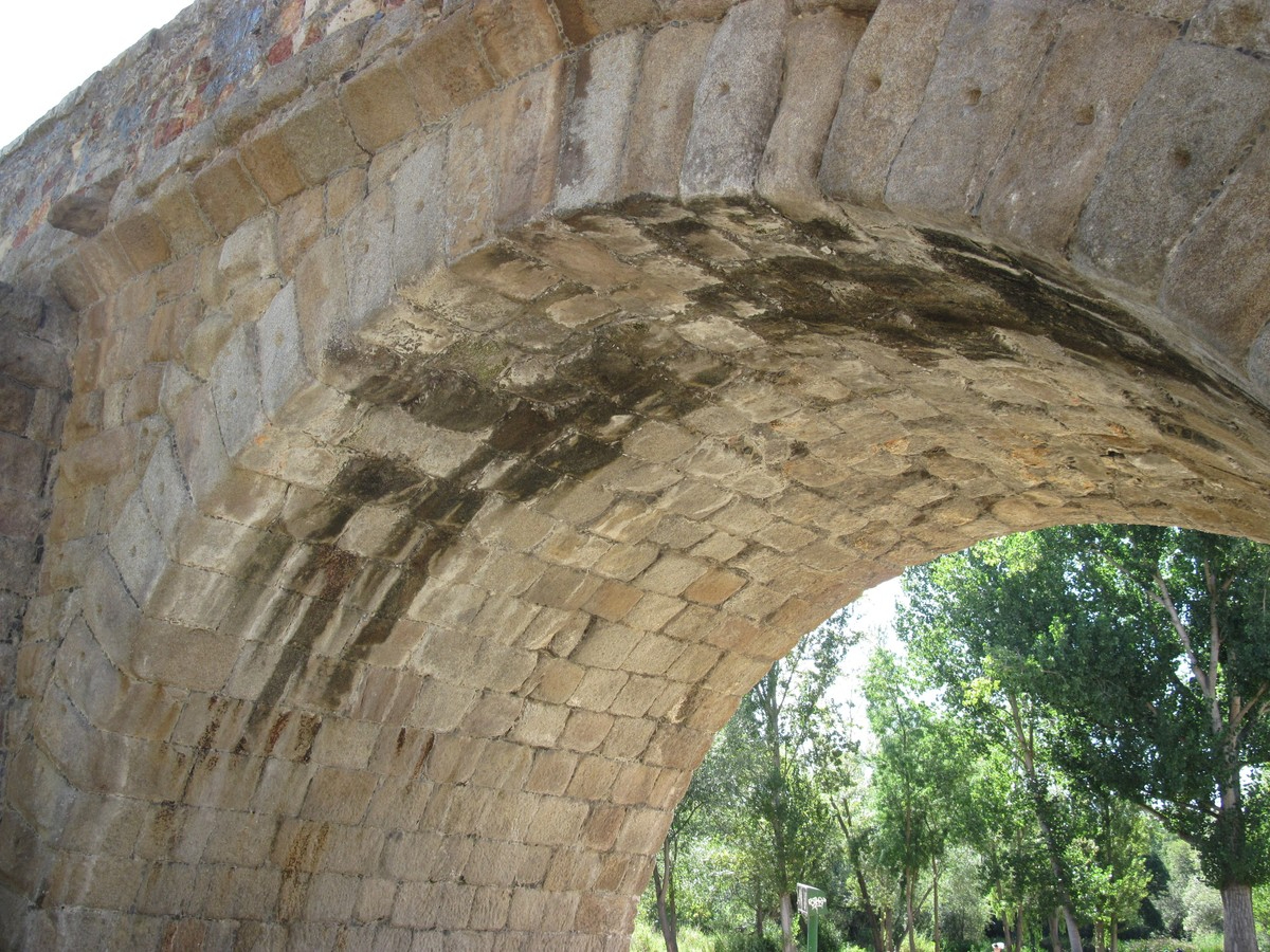 Puente Romano de Salamanca: alertan de graves humedades