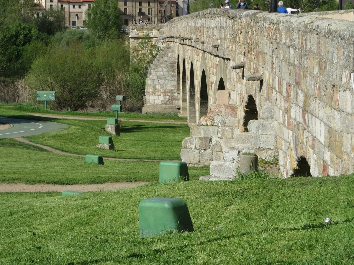 Alertan de graves problemas de humedad en el Puente Romano | FOTOS: Perfil X: @ACDPatrimonio