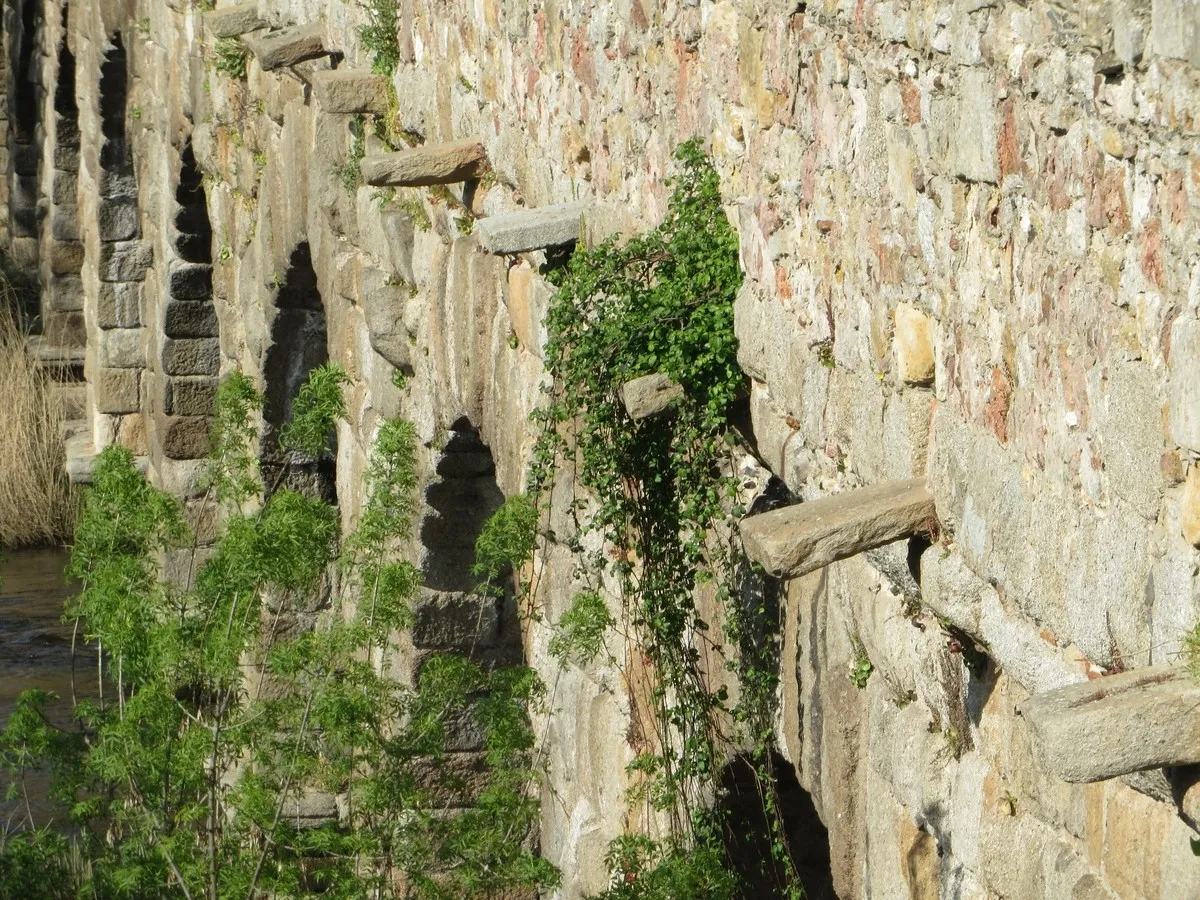 Alertan de graves problemas de humedad en el Puente Romano | FOTOS: Perfil X: @ACDPatrimonio