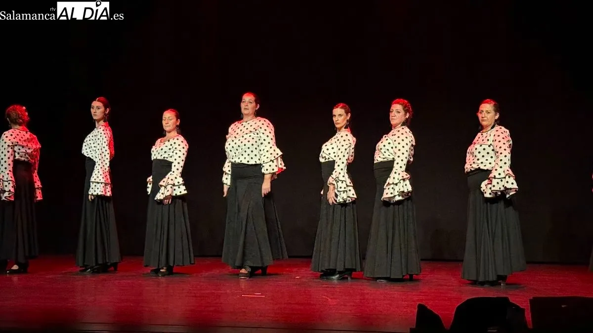 IV Gala Flamenca Solidaria a beneficio de ASPACE | Fotos: Ángel Merino