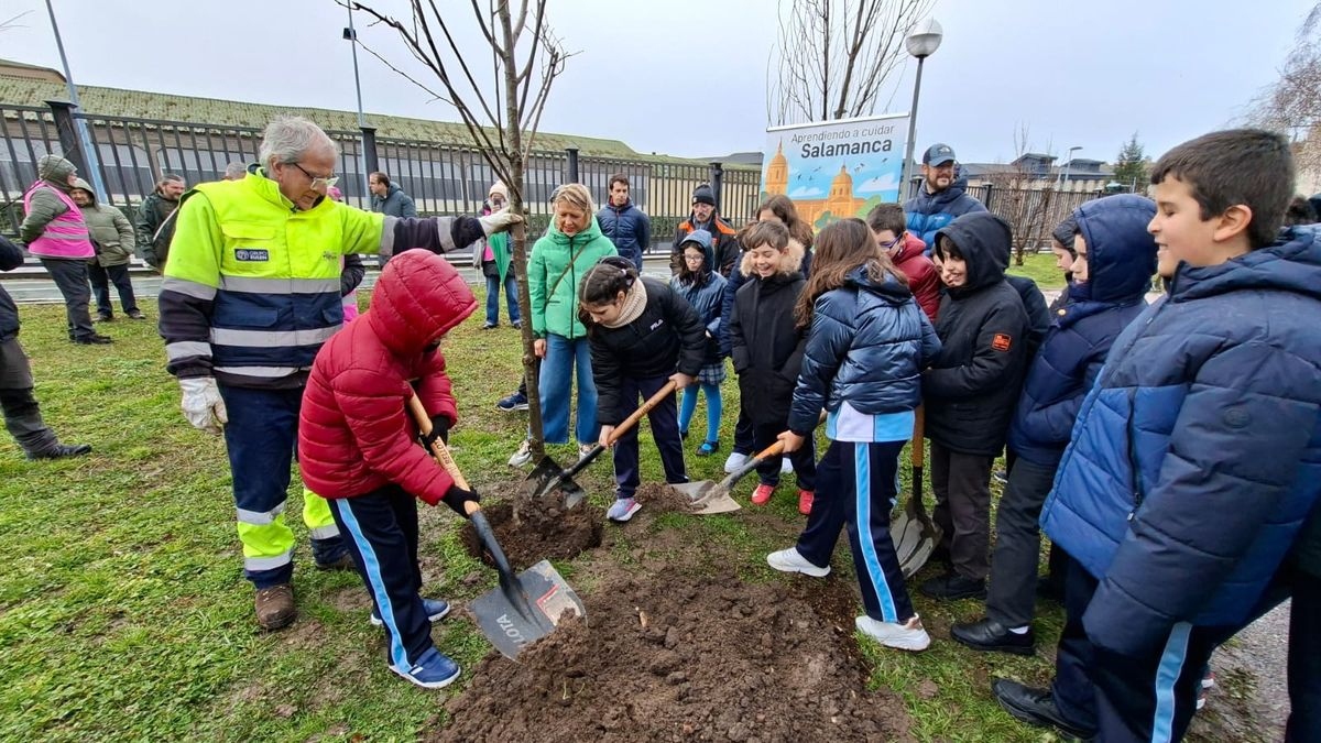 Plantación de árboles en los Jesuitas por el Día de la Educación Ambiental