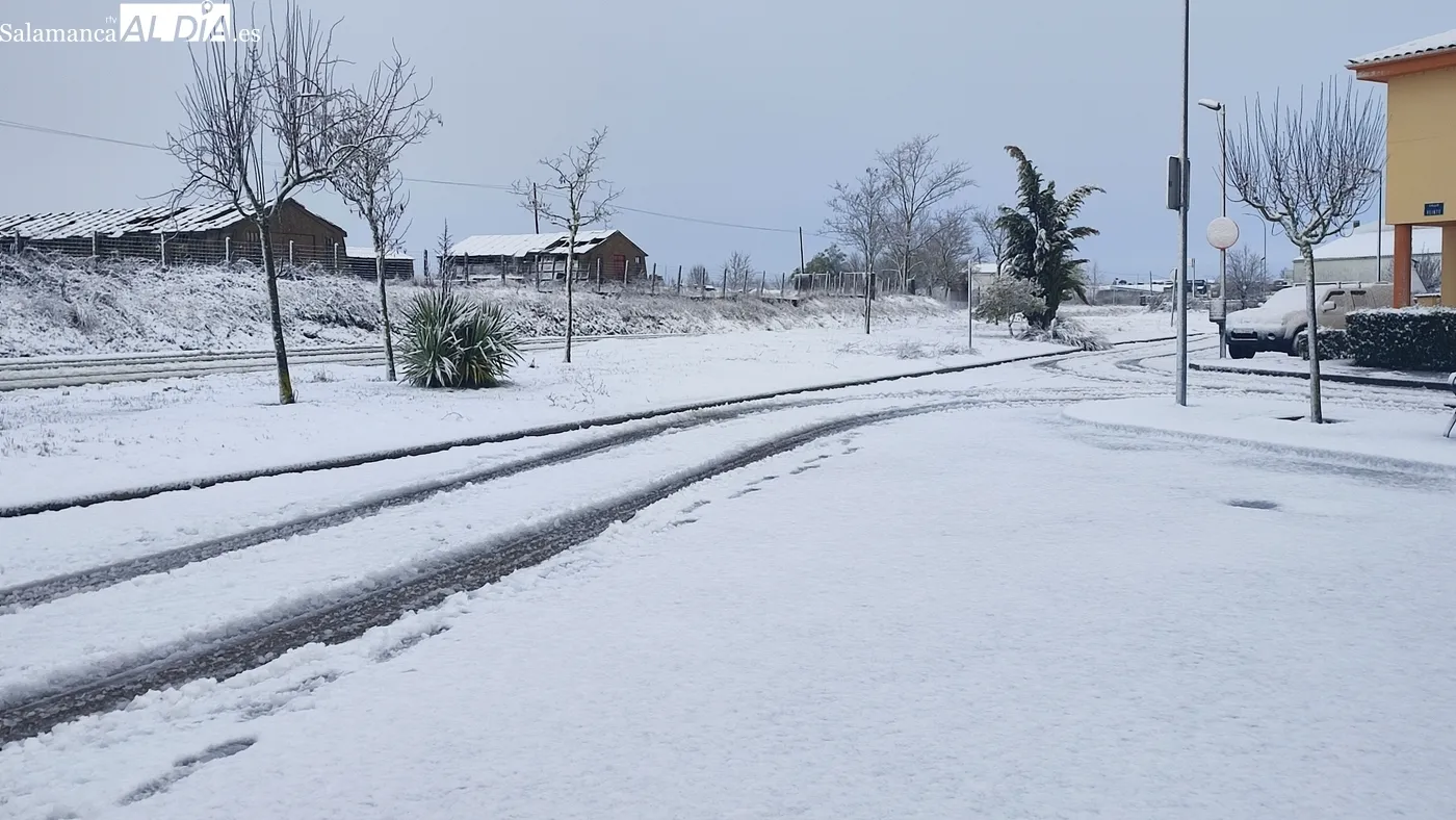 Paso con nieve de la borrasca Kristin por la comarca de Vitigudino / CORRAL 