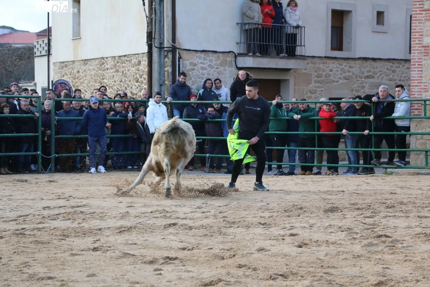 Celebración del II Novillos San Blas en Corporario / CORRAL