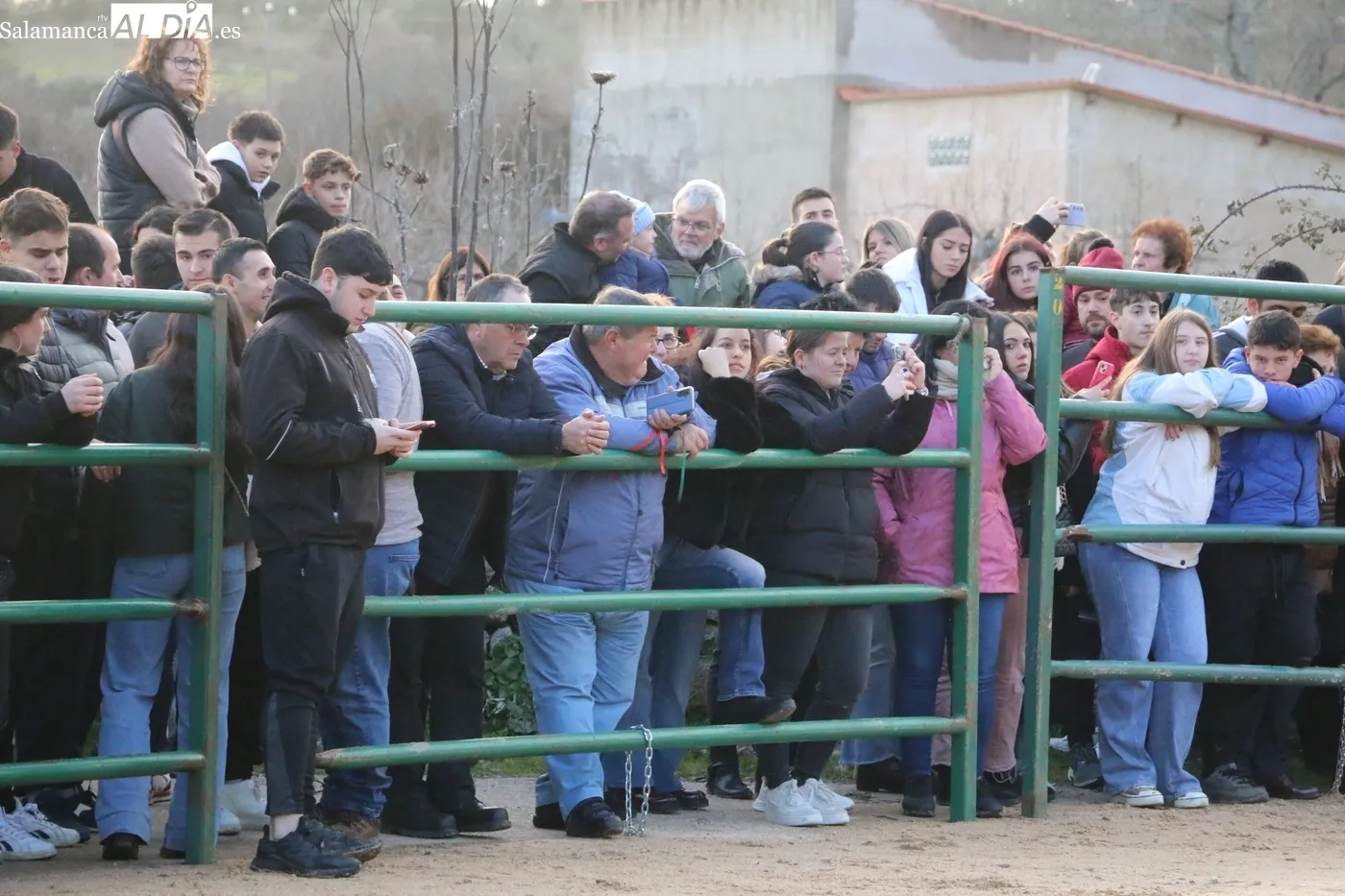 Celebración del II Novillos San Blas en Corporario / CORRAL