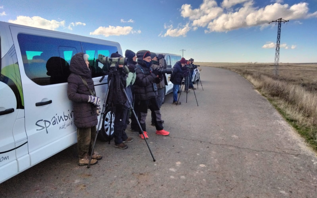 Turismo ornitológico de primer nivel en el Azud de Riolobos, reconocido como un referente nacional como humedal