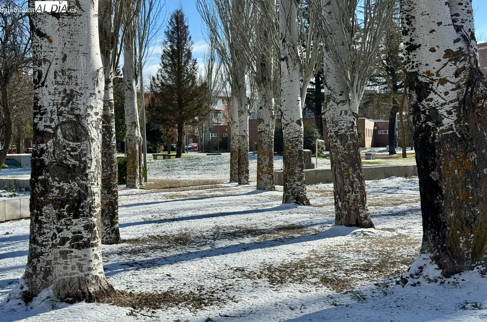 Foto 5 - La nieve se deja ver junto al intenso fr&iacute;o en Pe&ntilde;aranda