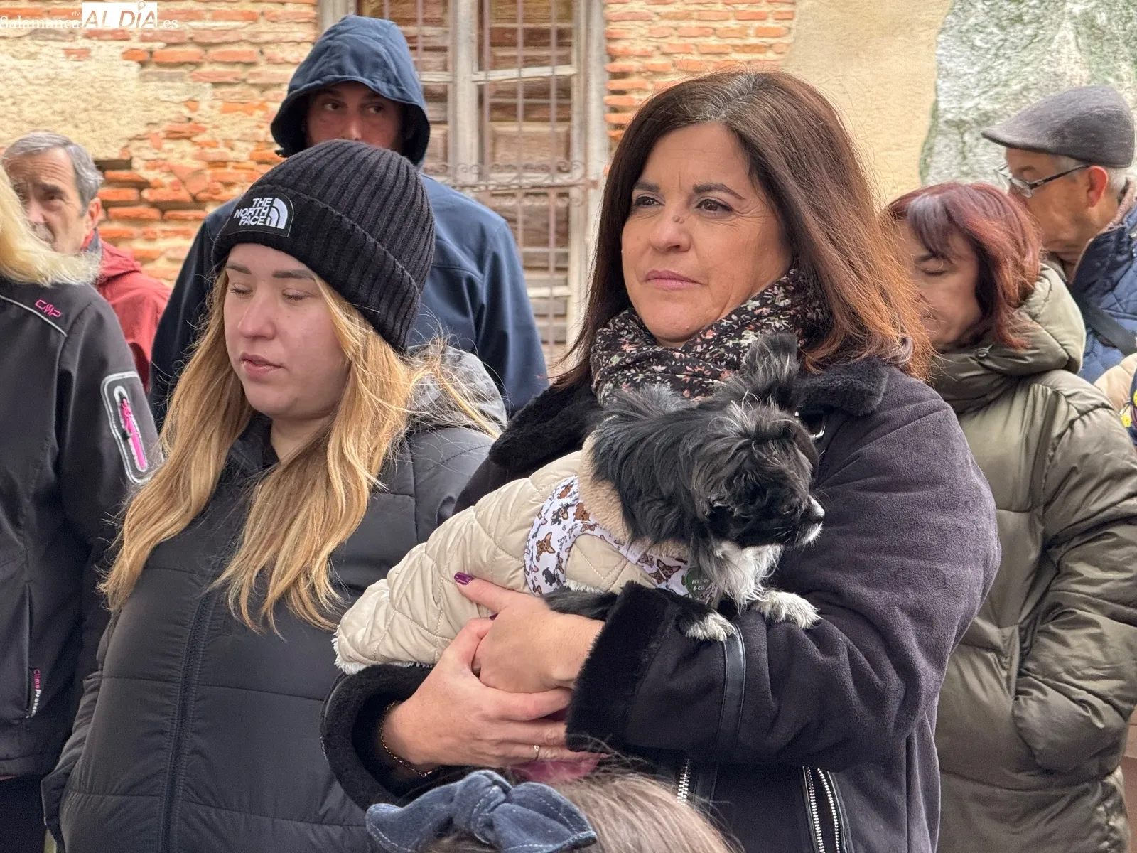 Bendición de San Antón en Peñaranda