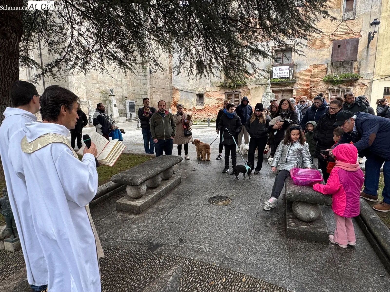 Bendición de San Antón en Peñaranda