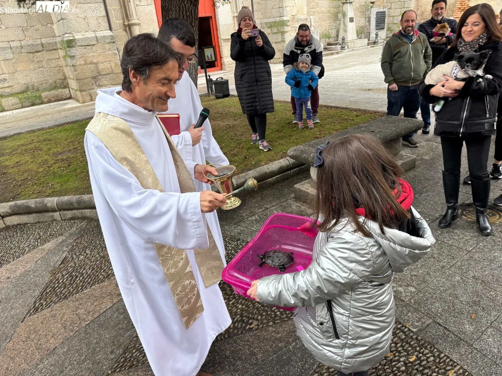 Bendición de San Antón en Peñaranda