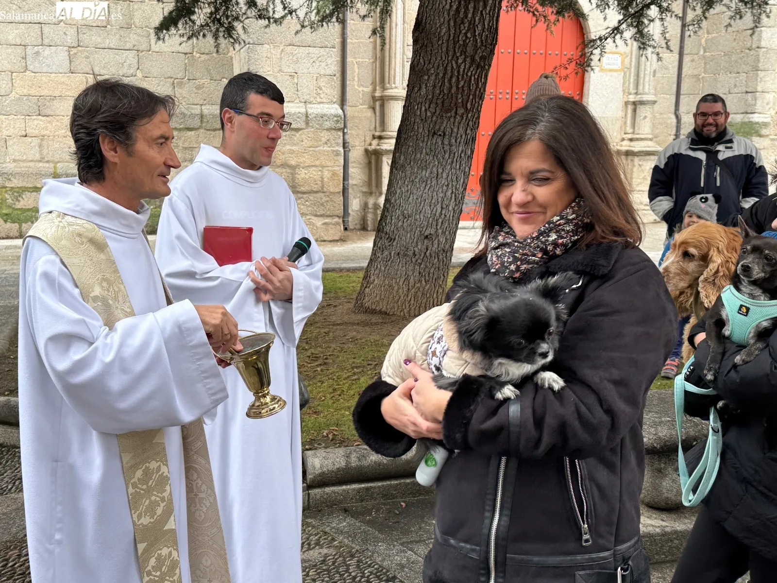 Bendición de San Antón en Peñaranda