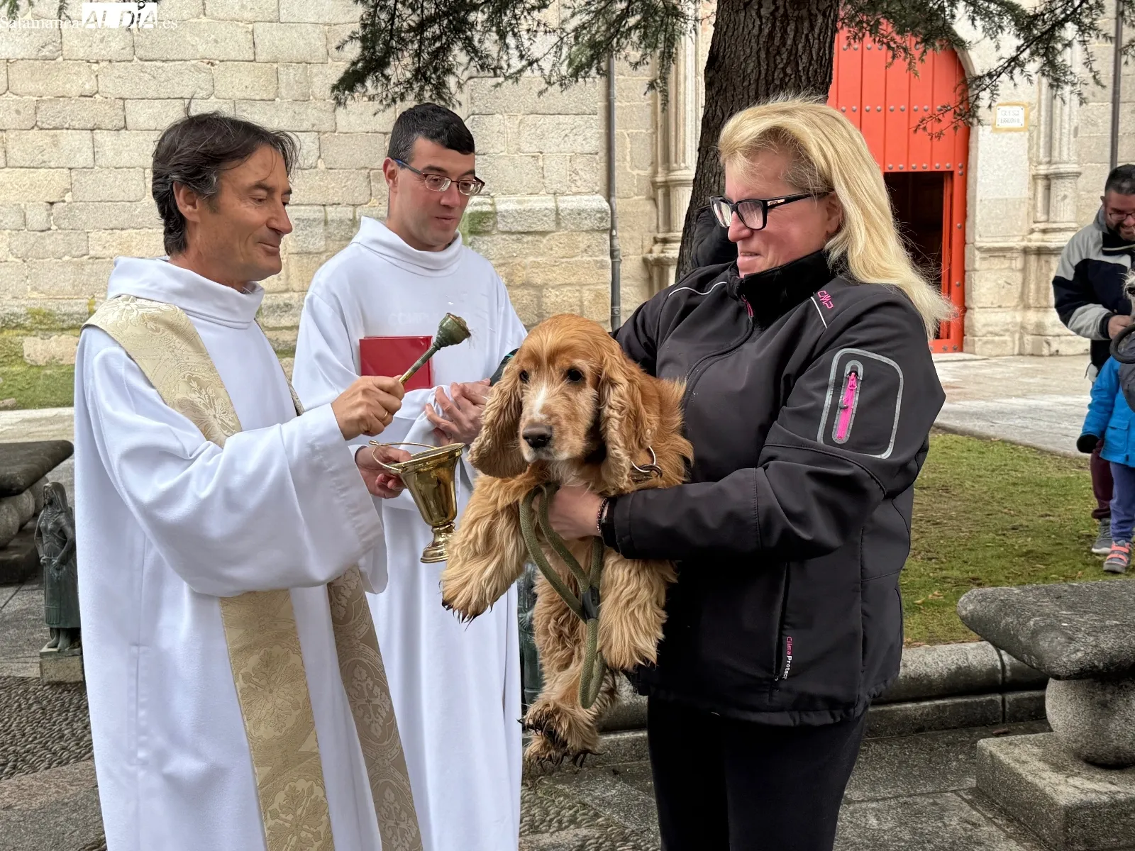 Bendición de San Antón en Peñaranda