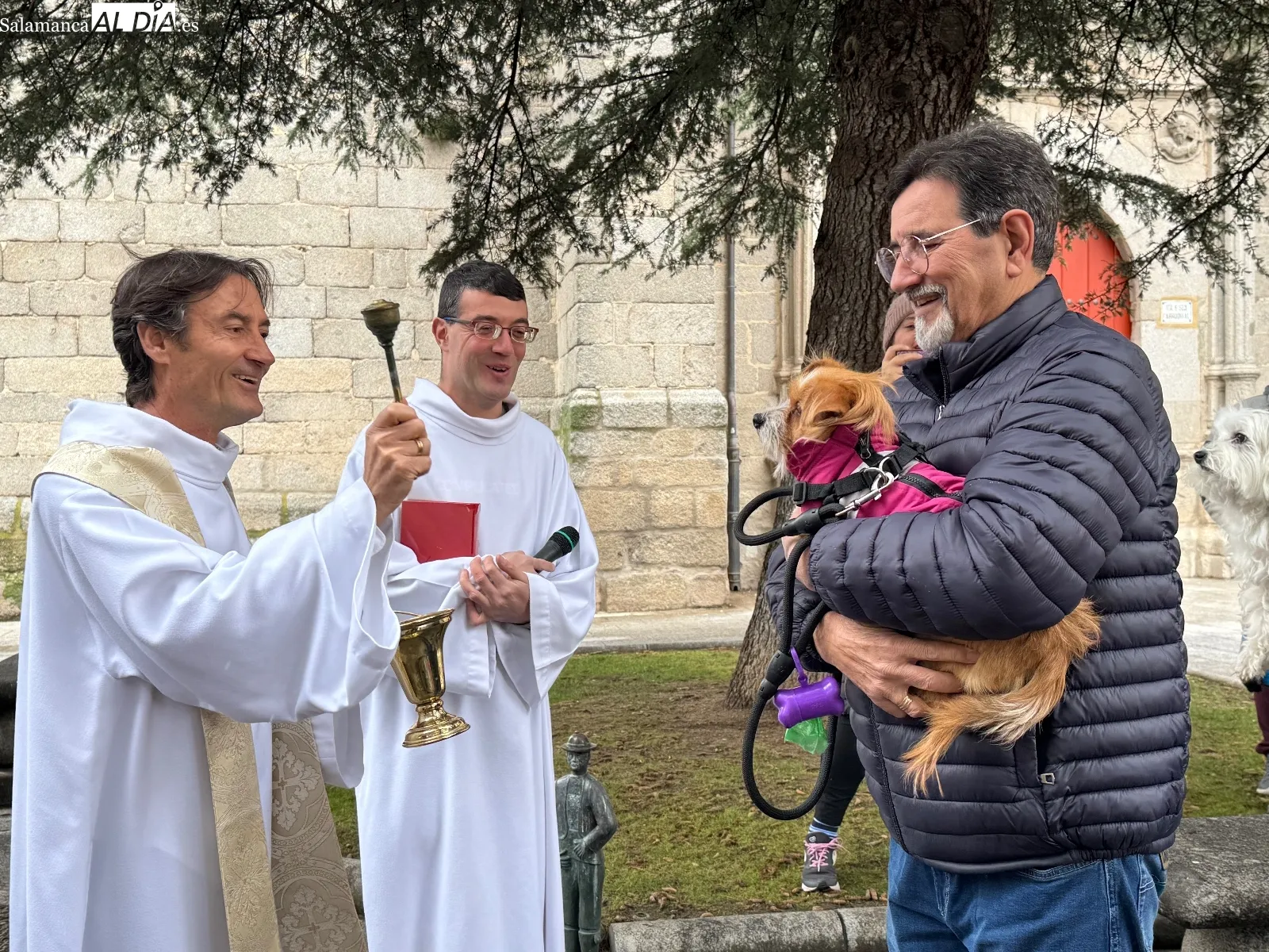Bendición de San Antón en Peñaranda