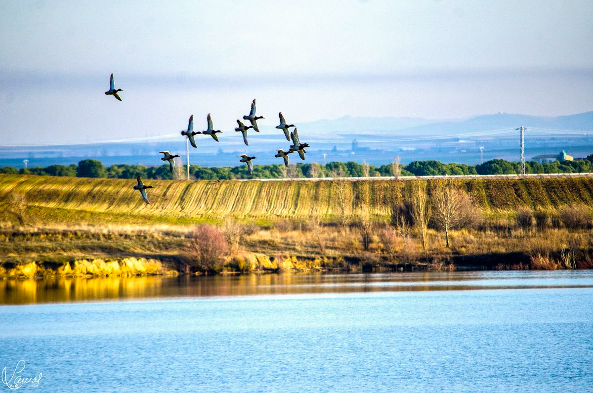 El mal tiempo y las previsiones obligan a posponer la ruta al Azud de Riolobos
