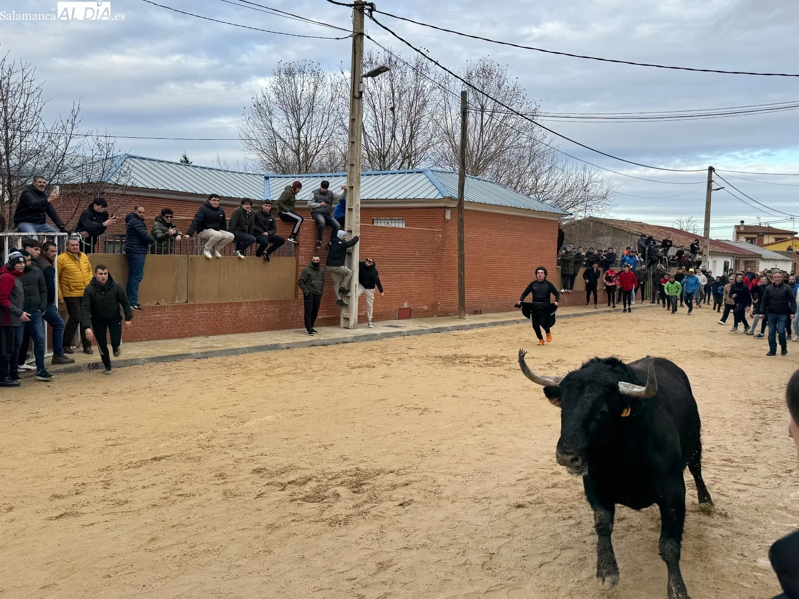 Foto 6 - Afici&oacute;n y emoci&oacute;n llenan Babilafuente en el esperado VI Toro de San Blas