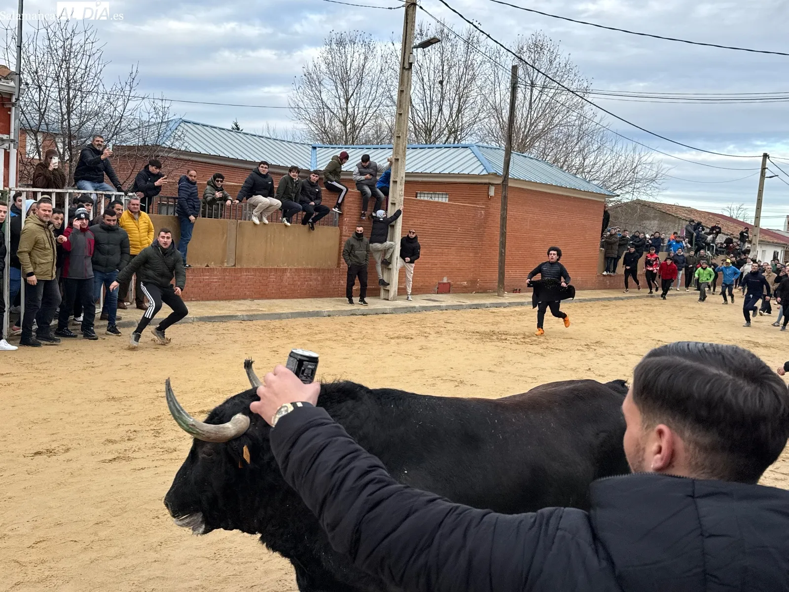 Foto 7 - Afici&oacute;n y emoci&oacute;n llenan Babilafuente en el esperado VI Toro de San Blas