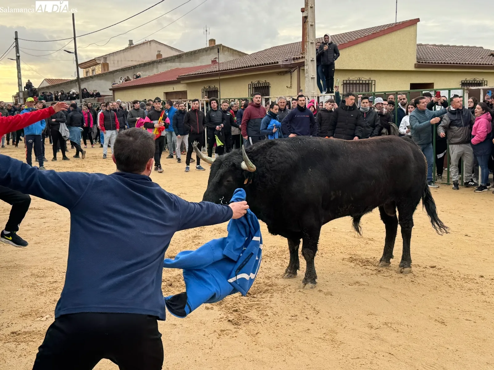 Foto 10 - Afici&oacute;n y emoci&oacute;n llenan Babilafuente en el esperado VI Toro de San Blas