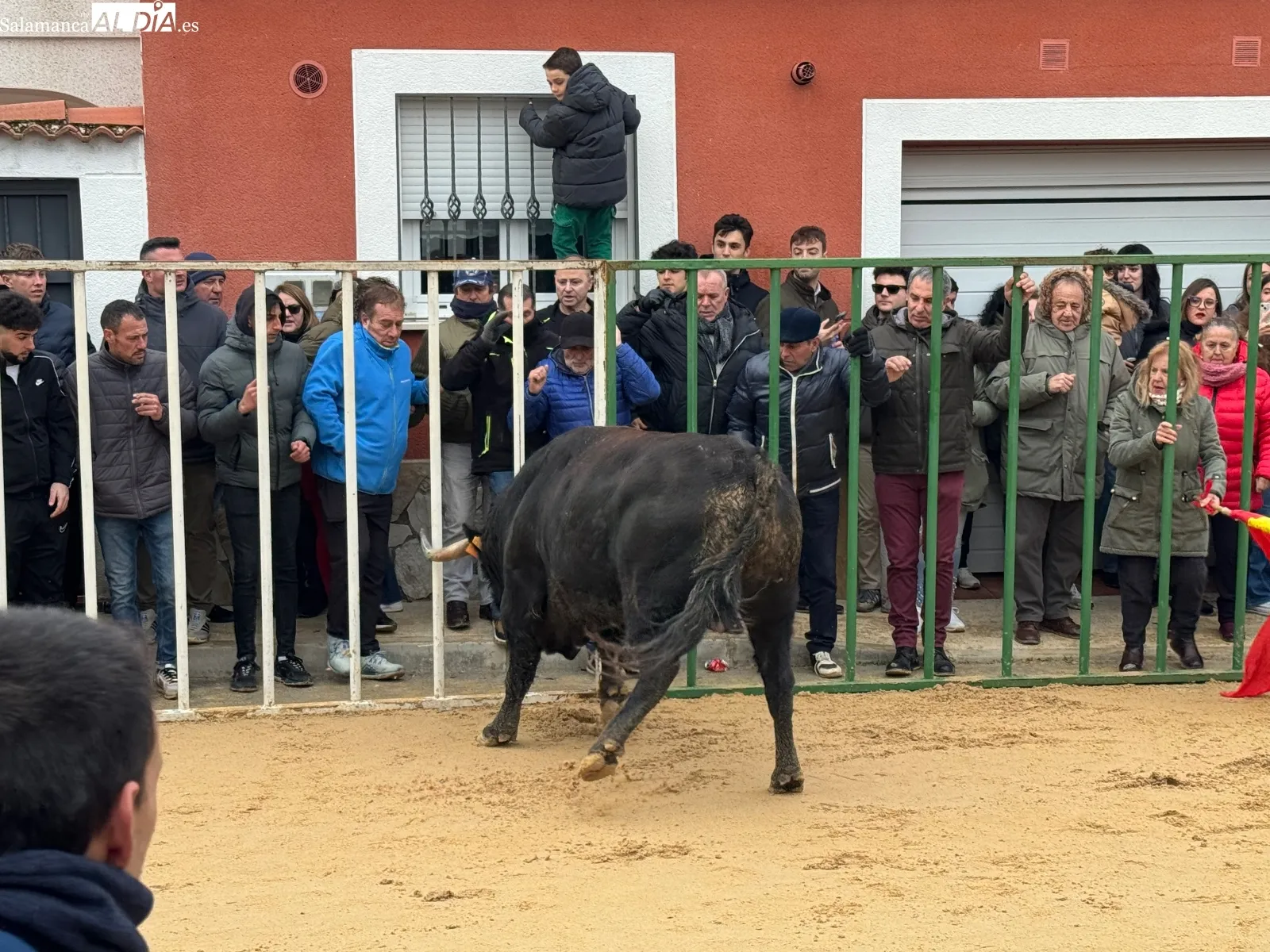 Foto 11 - Afici&oacute;n y emoci&oacute;n llenan Babilafuente en el esperado VI Toro de San Blas