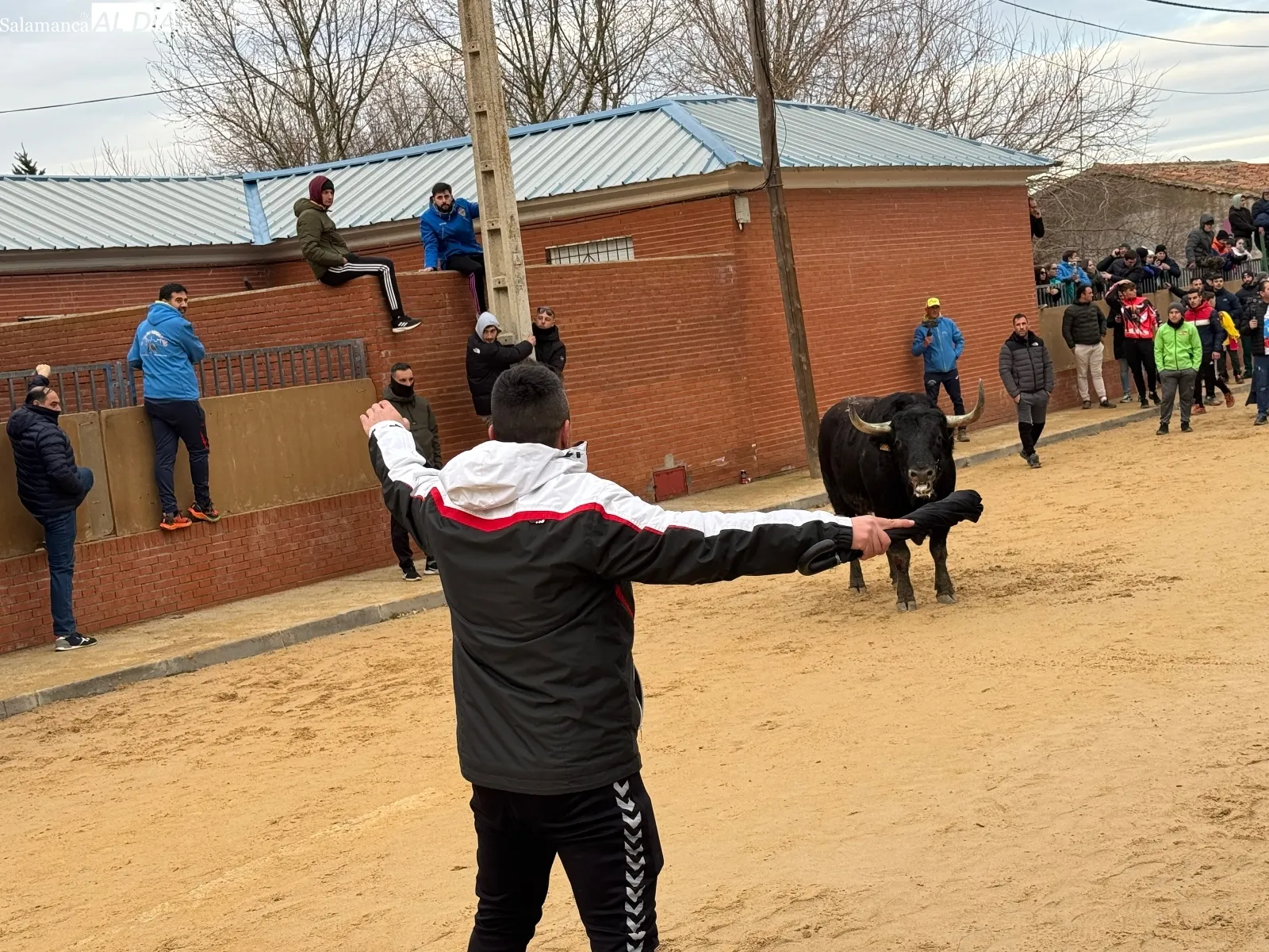 Foto 3 - Afici&oacute;n y emoci&oacute;n llenan Babilafuente en el esperado VI Toro de San Blas