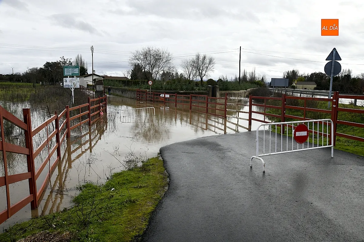La falta de limpieza de regatos y cunetas provoca inundaciones en el extrarradio de Ciudad Rodrigo