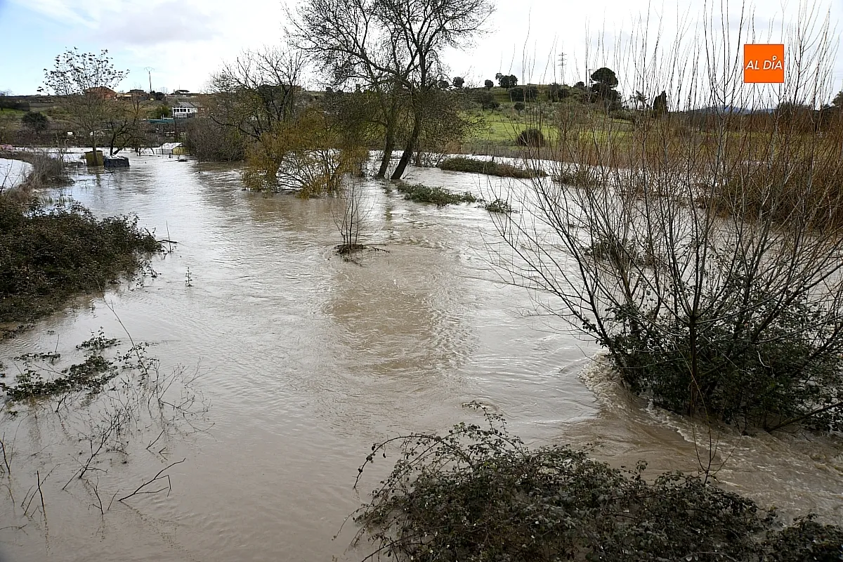La falta de limpieza de regatos y cunetas provoca inundaciones en el extrarradio de Ciudad Rodrigo