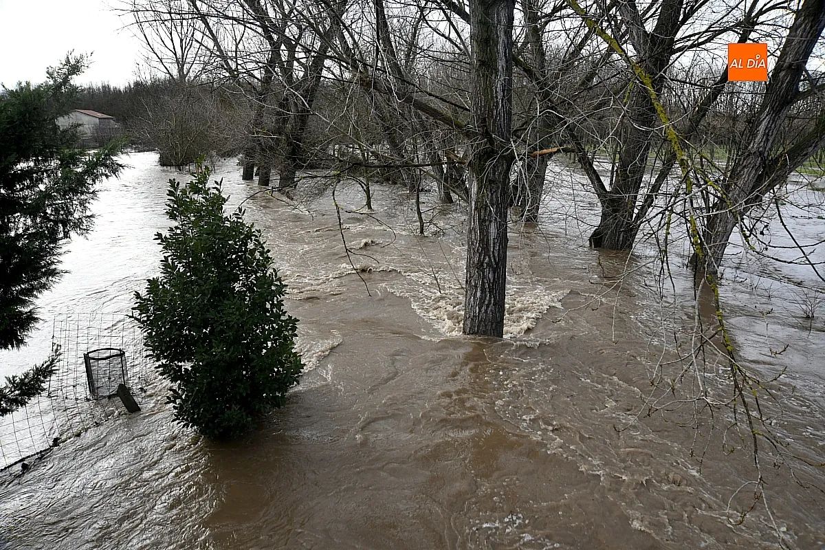 La falta de limpieza de regatos y cunetas provoca inundaciones en el extrarradio de Ciudad Rodrigo