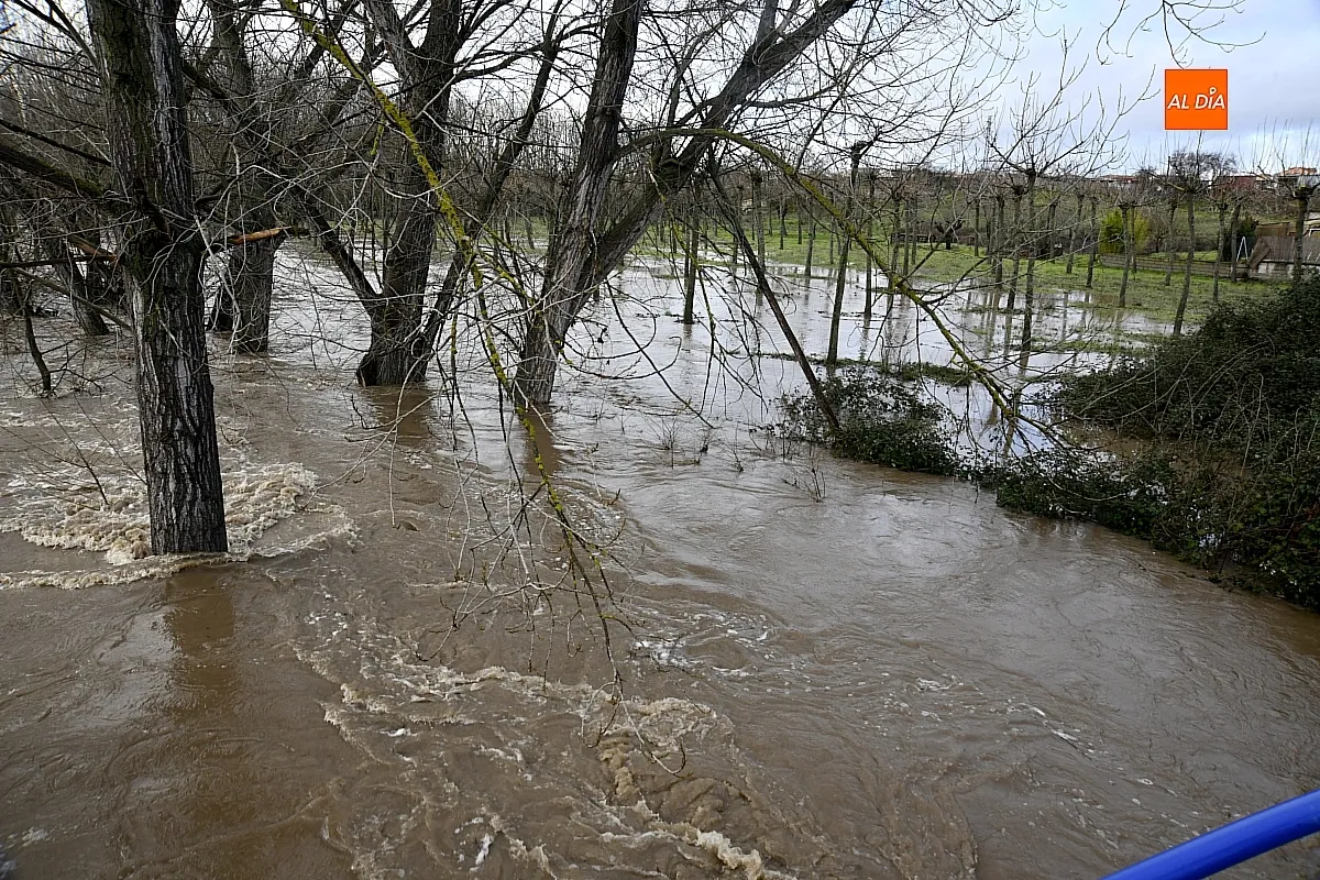 La falta de limpieza de regatos y cunetas provoca inundaciones en el extrarradio de Ciudad Rodrigo