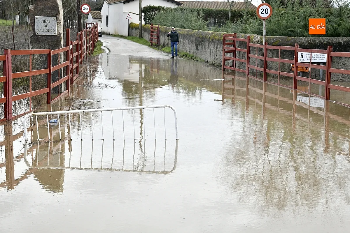 La falta de limpieza de regatos y cunetas provoca inundaciones en el extrarradio de Ciudad Rodrigo