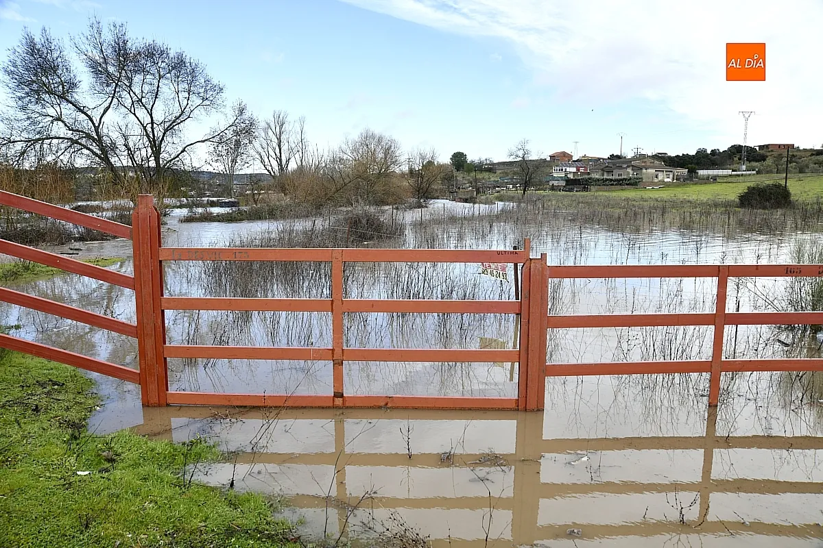 La falta de limpieza de regatos y cunetas provoca inundaciones en el extrarradio de Ciudad Rodrigo
