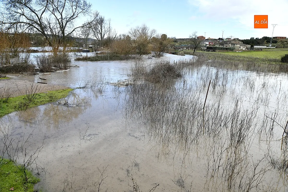 La falta de limpieza de regatos y cunetas provoca inundaciones en el extrarradio de Ciudad Rodrigo