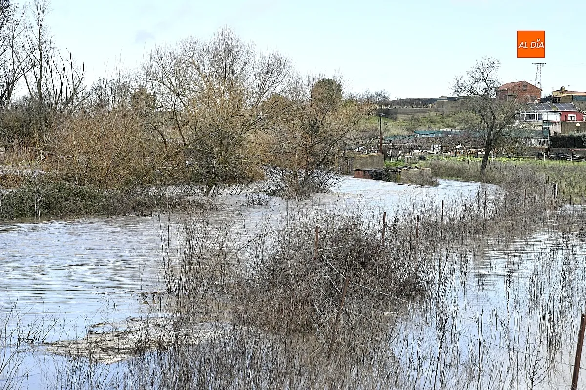 La falta de limpieza de regatos y cunetas provoca inundaciones en el extrarradio de Ciudad Rodrigo