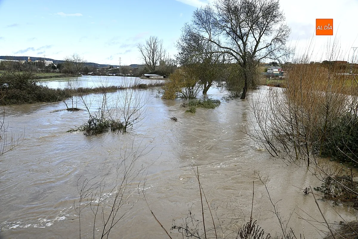 La falta de limpieza de regatos y cunetas provoca inundaciones en el extrarradio de Ciudad Rodrigo