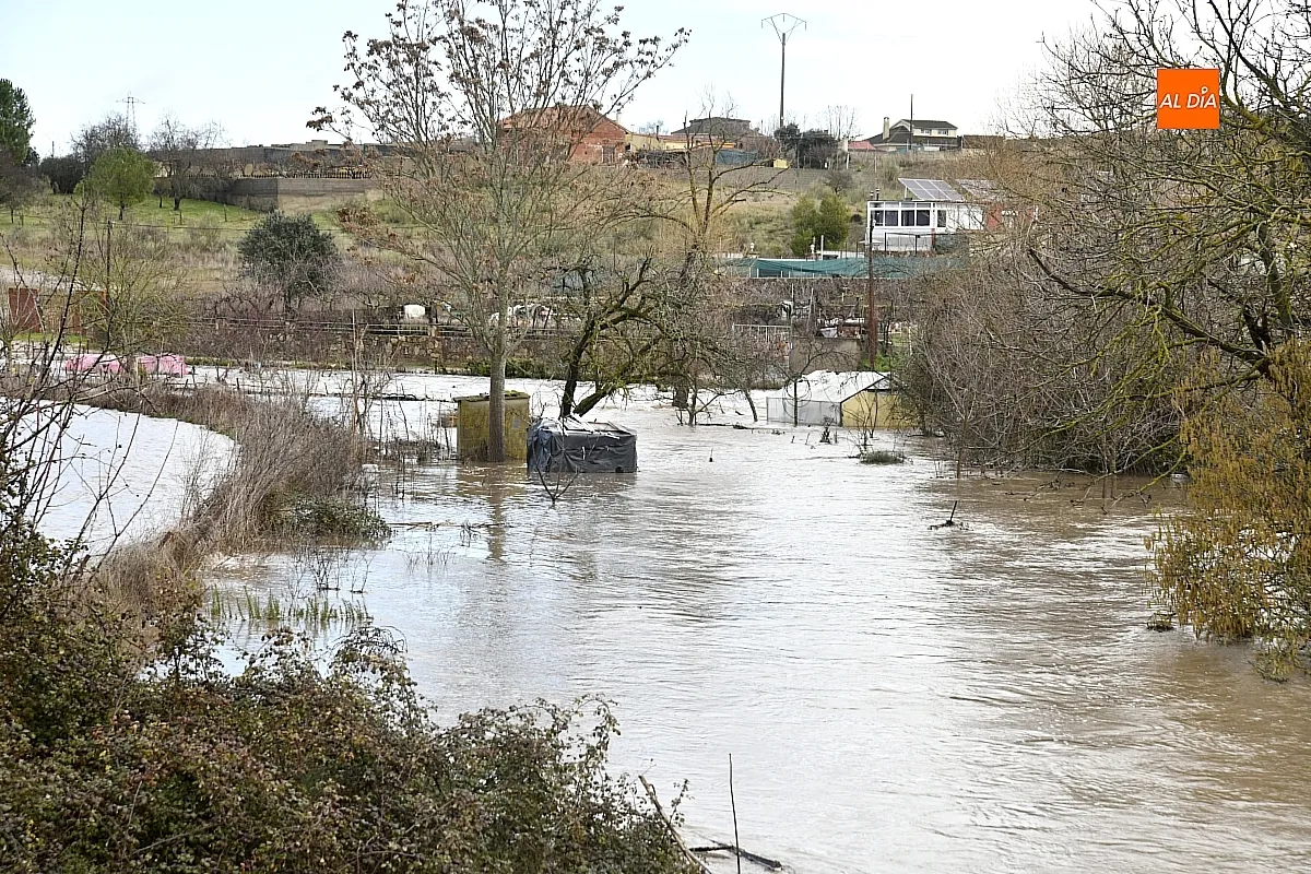La falta de limpieza de regatos y cunetas provoca inundaciones en el extrarradio de Ciudad Rodrigo
