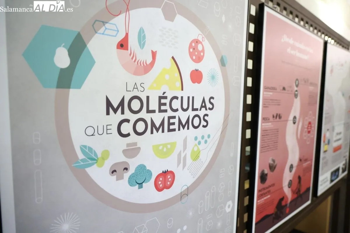 Inauguración de la muestra con la vicedecana del Grado en Nutrición Humana y Dietética, Raquel Sánchez; el director de la Biblioteca, Antonio Sánchez; y la comisaria de la exposición, Mabel Gonzalo. Foto de David Sañudo