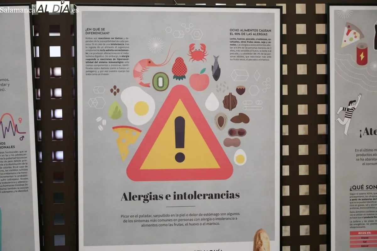 Inauguración de la muestra con la vicedecana del Grado en Nutrición Humana y Dietética, Raquel Sánchez; el director de la Biblioteca, Antonio Sánchez; y la comisaria de la exposición, Mabel Gonzalo. Foto de David Sañudo