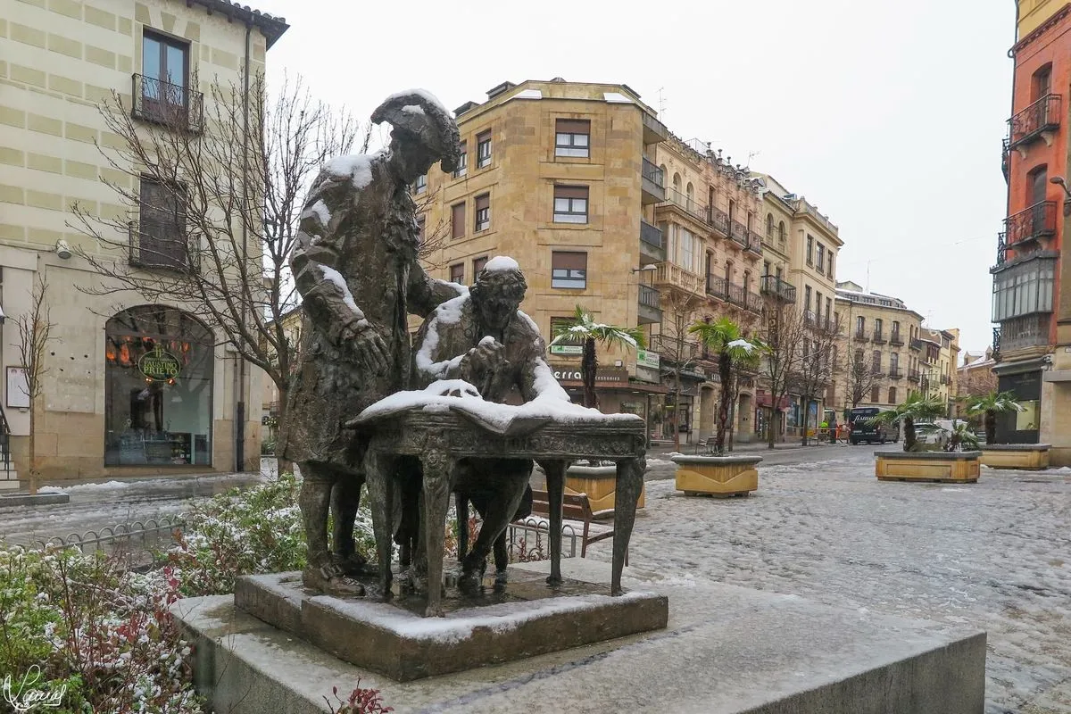 Foto 8 - FOTOS | La nevada en Salamanca a trav&eacute;s de la c&aacute;mara de Manuel Lamas