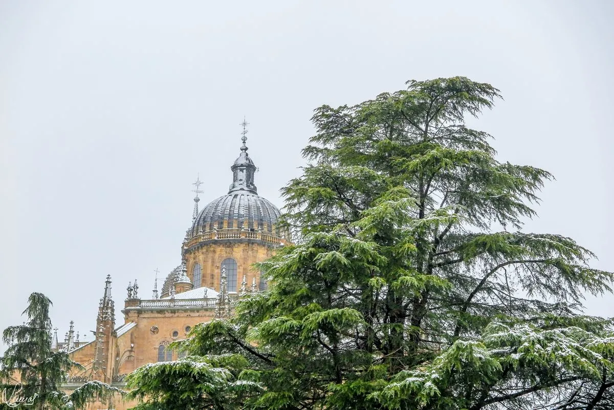 Foto 7 - FOTOS | La nevada en Salamanca a trav&eacute;s de la c&aacute;mara de Manuel Lamas