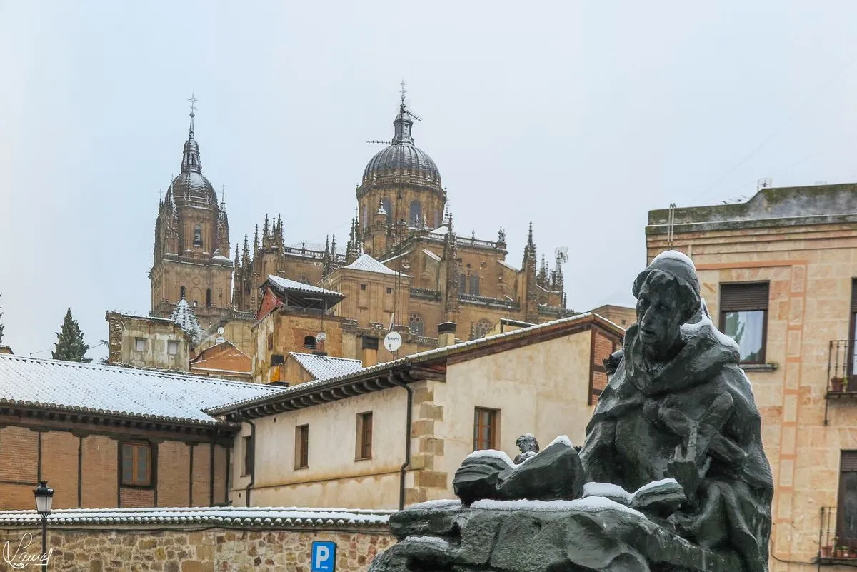 Foto 6 - FOTOS | La nevada en Salamanca a trav&eacute;s de la c&aacute;mara de Manuel Lamas