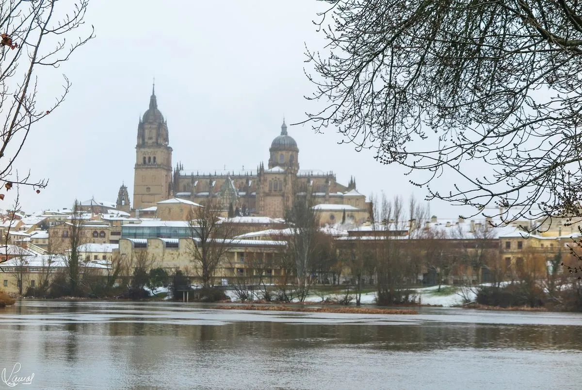 Foto 4 - FOTOS | La nevada en Salamanca a trav&eacute;s de la c&aacute;mara de Manuel Lamas