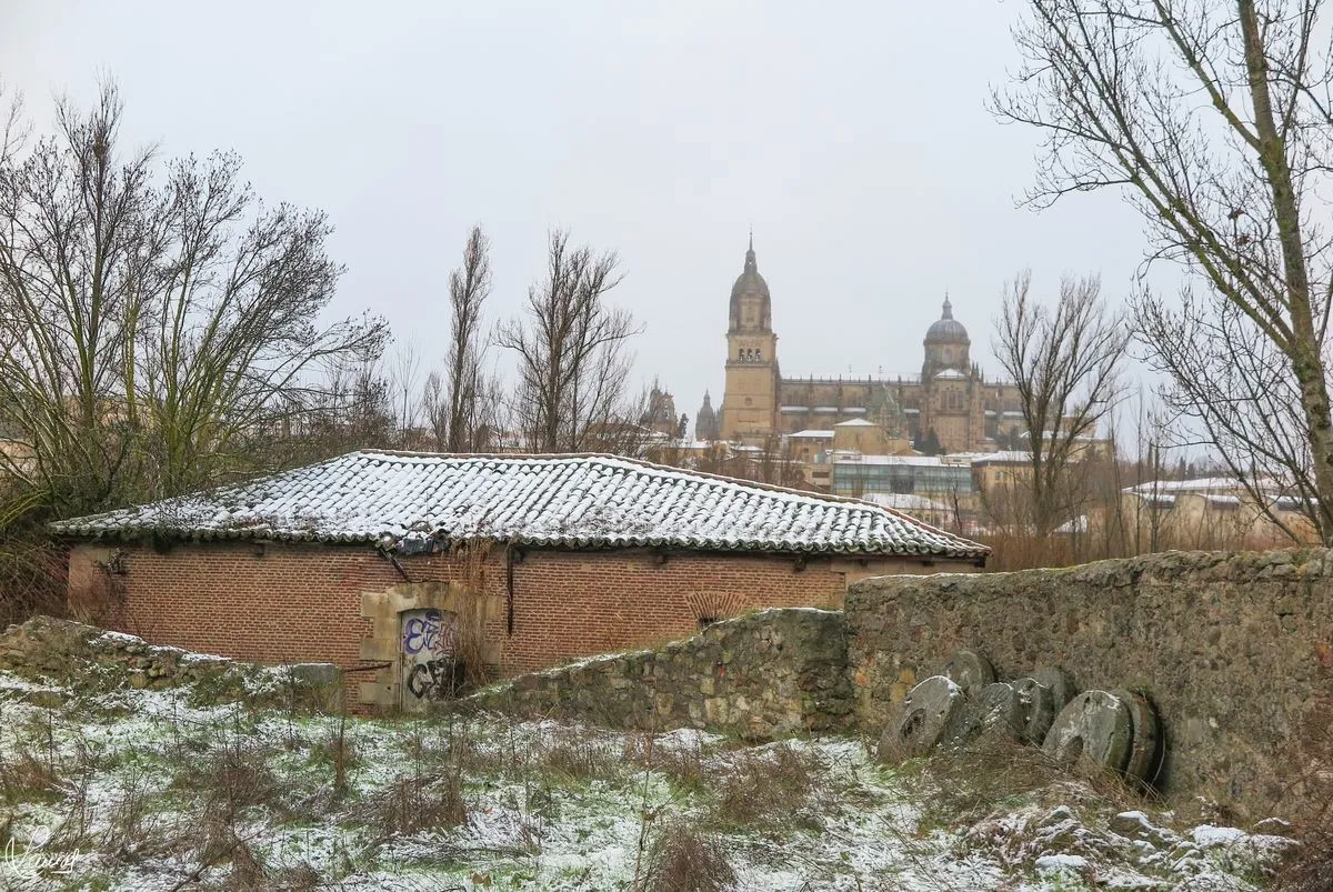Foto 2 - FOTOS | La nevada en Salamanca a trav&eacute;s de la c&aacute;mara de Manuel Lamas
