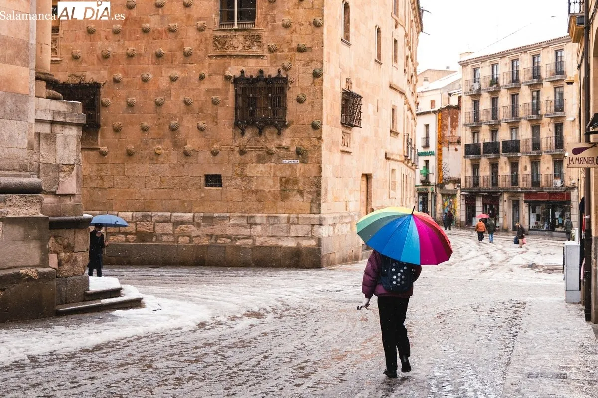 Nevada en Salamanca. Foto de David Sañudo