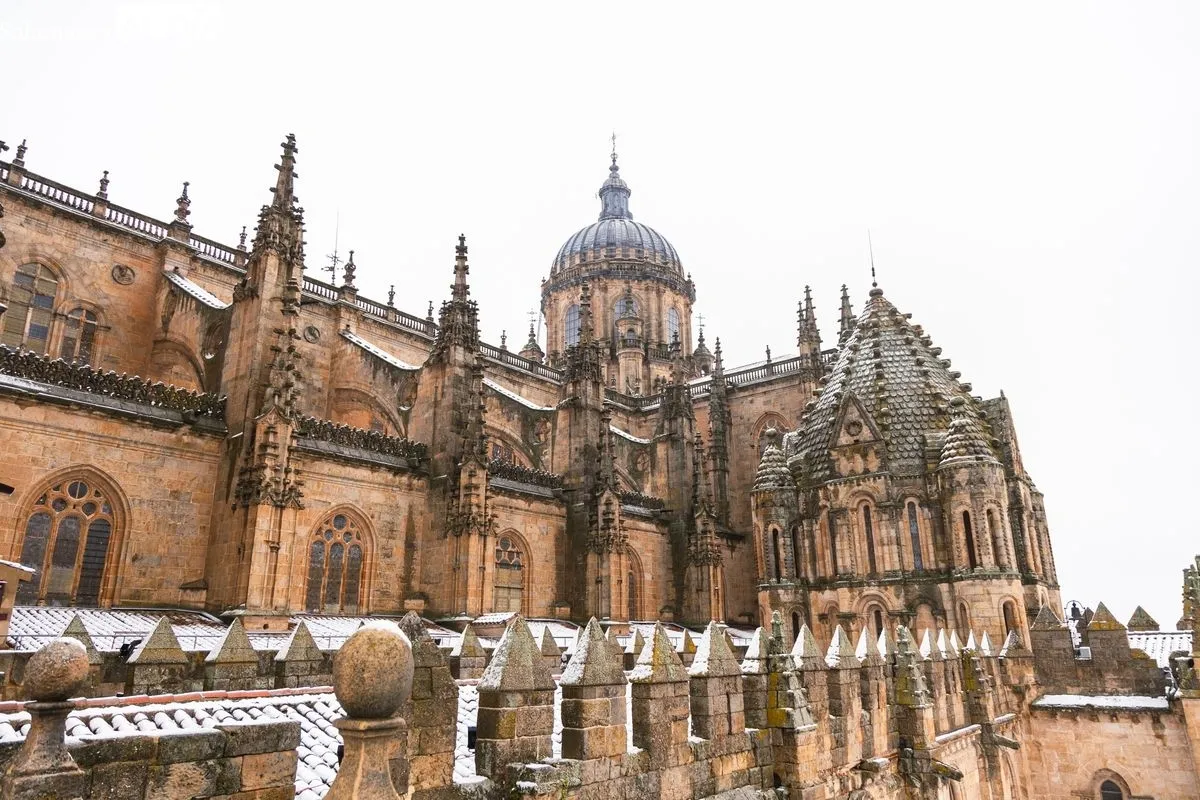 Nevada en Salamanca. Foto de David Sañudo