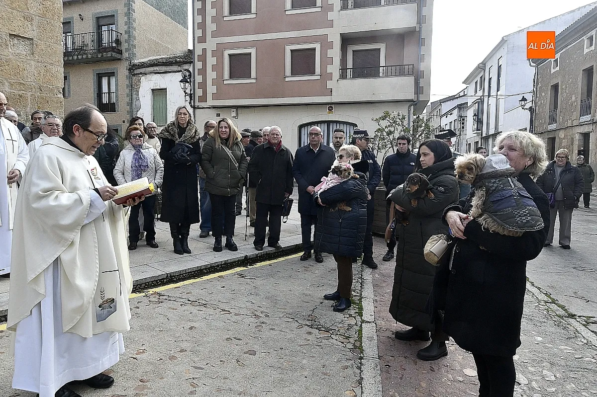 Celebración de San Antón 