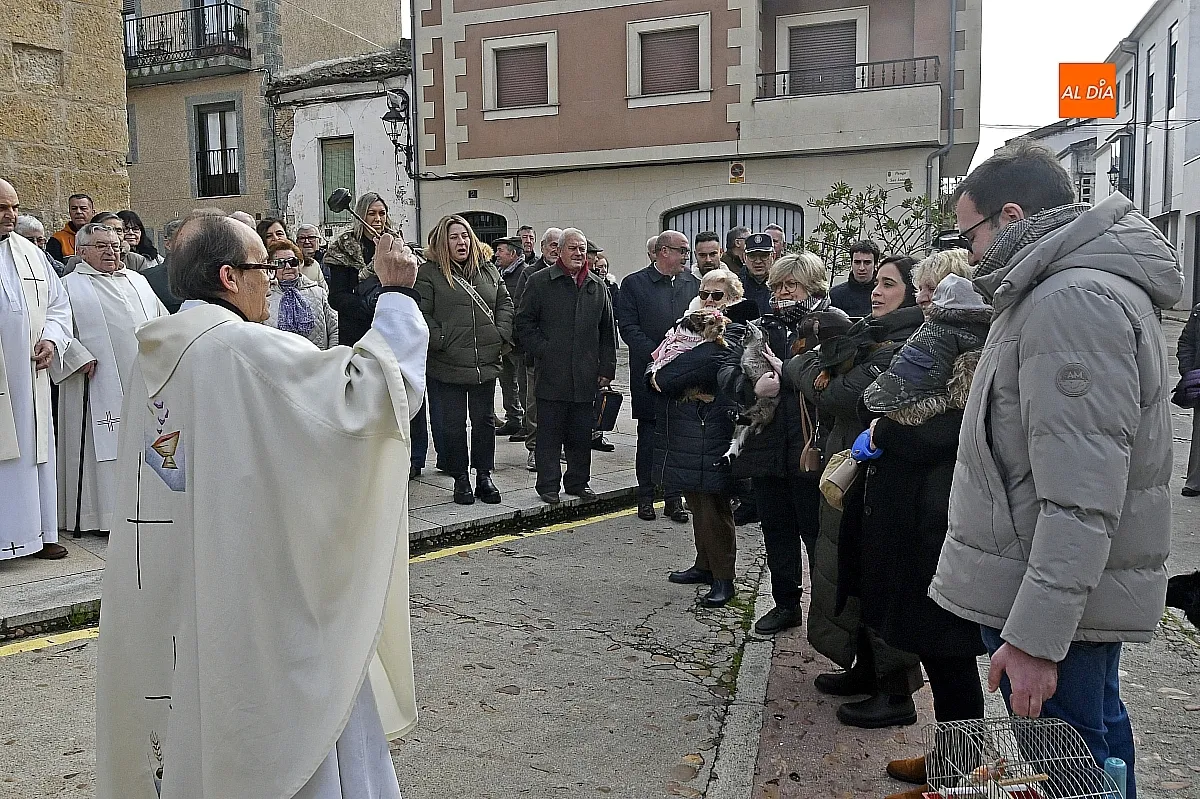 Celebración de San Antón 