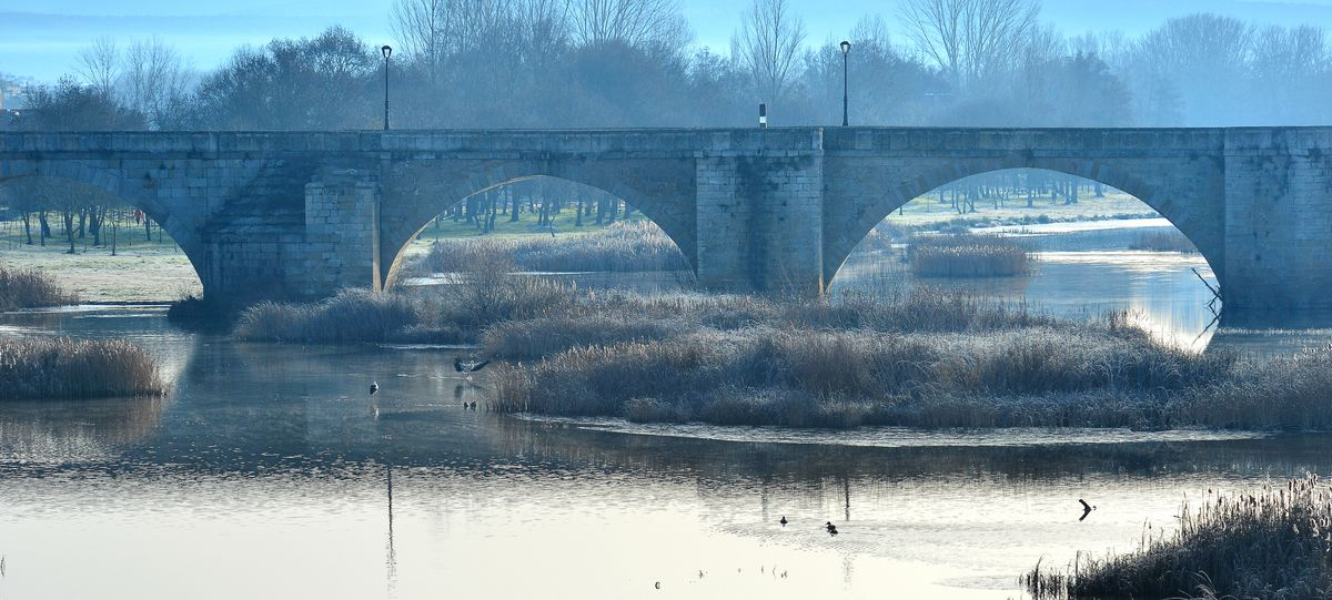 El color del invierno