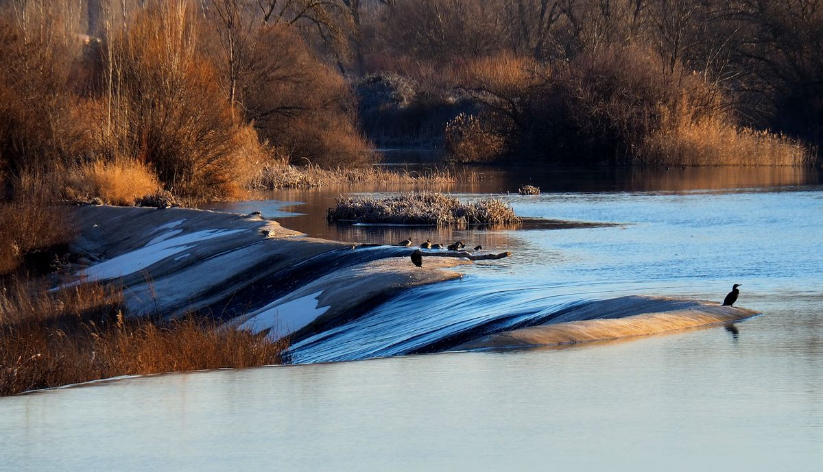 Río Tormes a su paso por Tejares