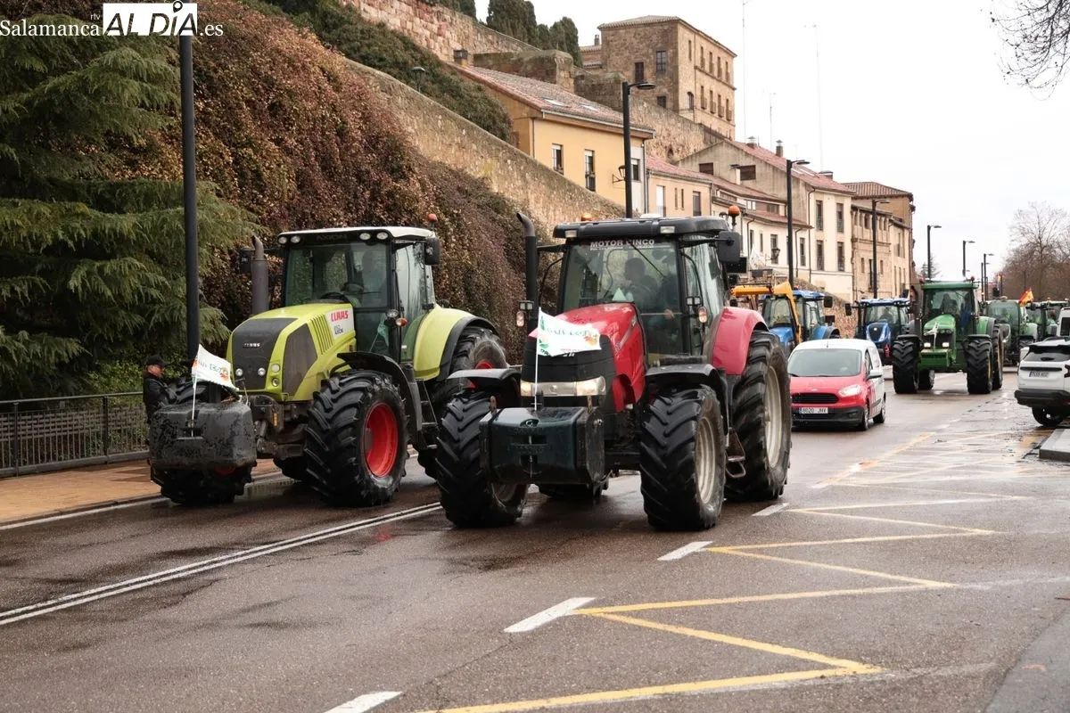  El campo salmantino se movilización una gran tractorada contra el acuerdo de Mercosur y la PAC | FOTOS: David Sañudo