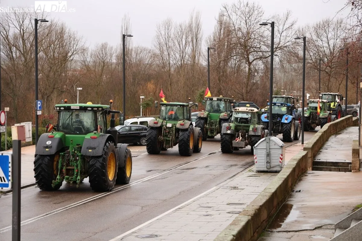  El campo salmantino se movilización una gran tractorada contra el acuerdo de Mercosur y la PAC | FOTOS: David Sañudo
