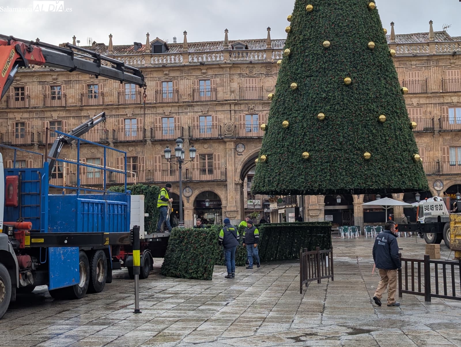 VÍDEO Y FOTOS | Desmontaje de la Navidad en Salamanca: retiran el árbol