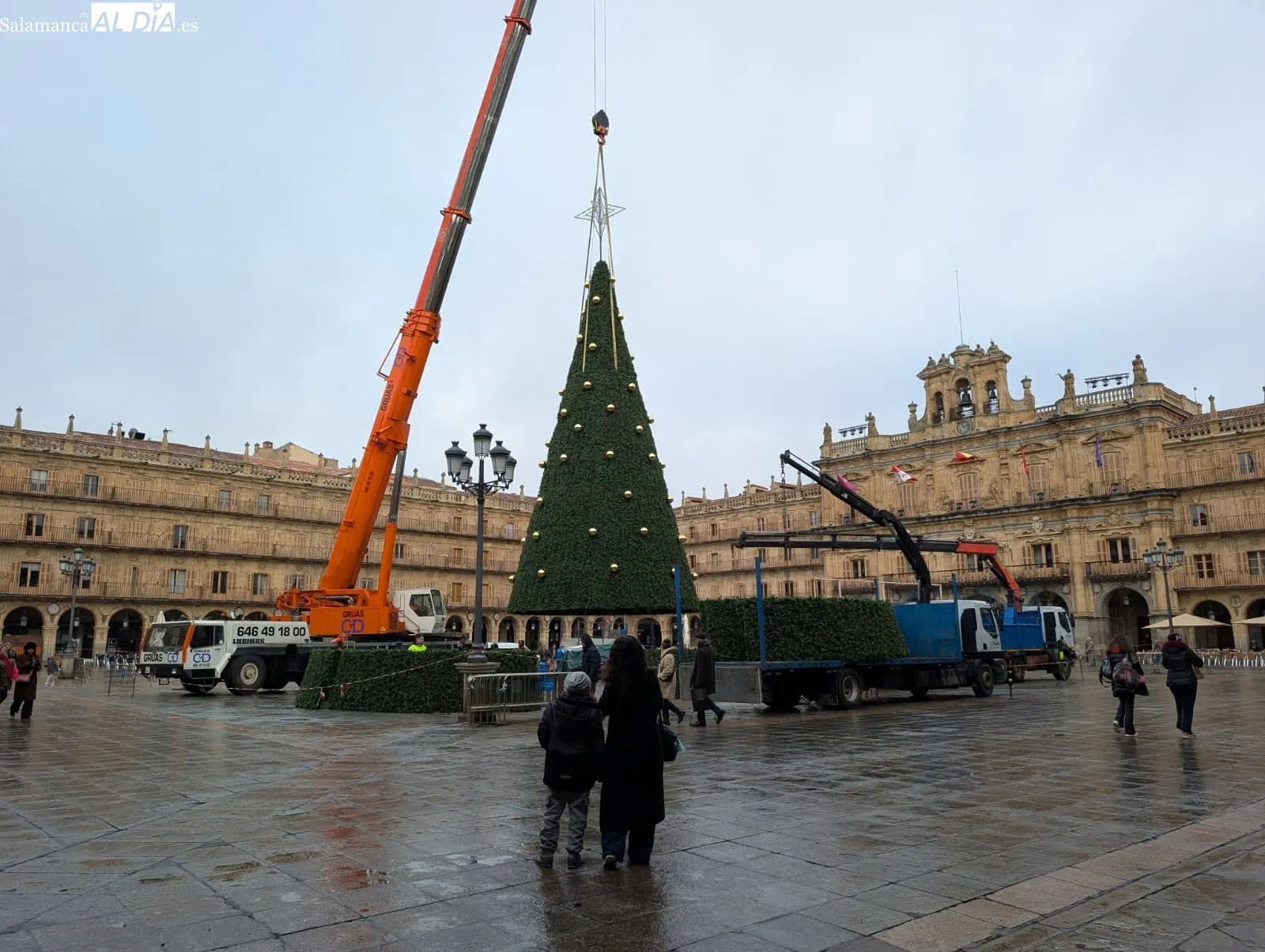 Salamanca dice adiós a la Navidad con el desmontaje del árbol de la Plaza Mayor y el mercado de Anaya | FOTOS: David Sañudo 